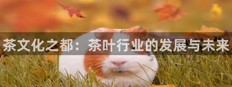 最新彩名堂计划