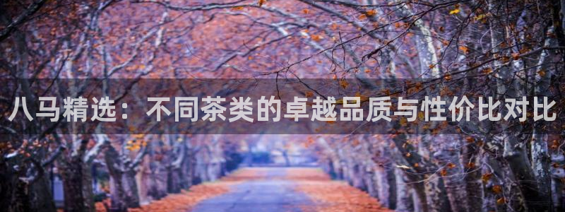 彩名堂计划怎么买胜率高