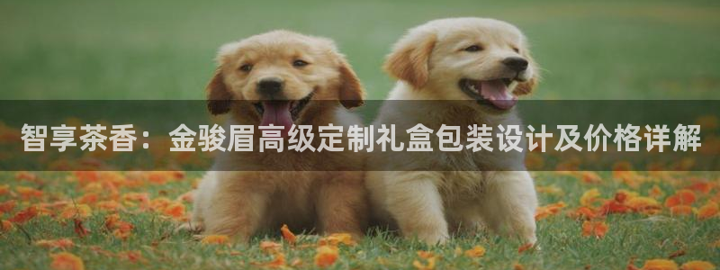 彩名堂01计划