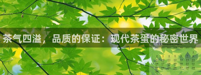 彩名堂app官网