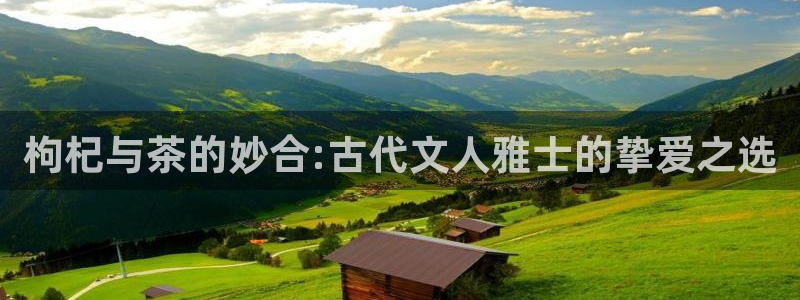 彩名堂怎么打不开了