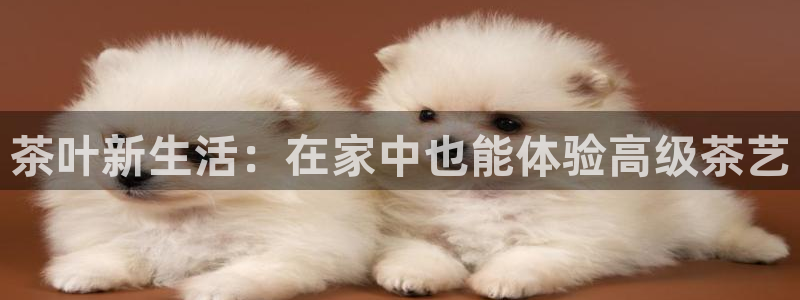 下载彩名堂预测计划软件