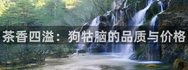 彩名堂和01计划哪个好