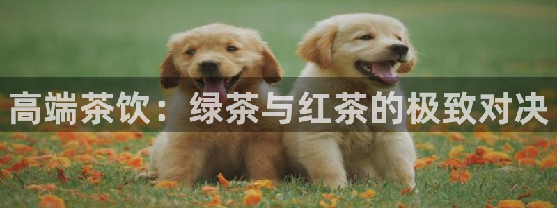 彩名堂预测免费计划怎么看的