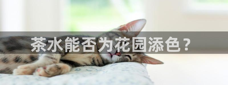 彩名堂官网客户端