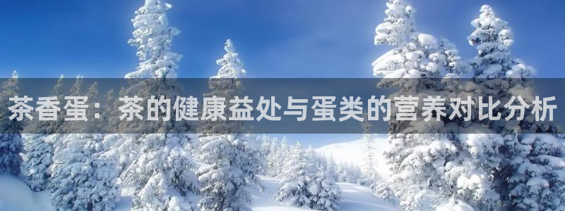 彩名堂怎么不能用了