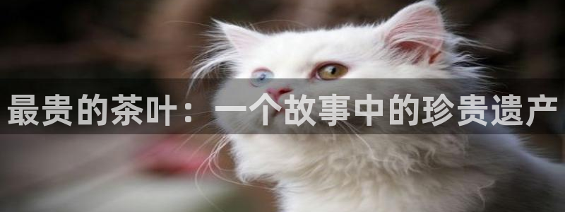 彩名堂合作655560