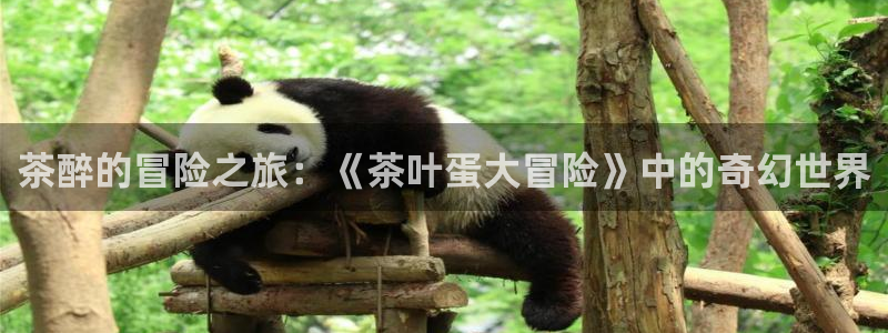 彩名堂怎么跟计划才不连挂