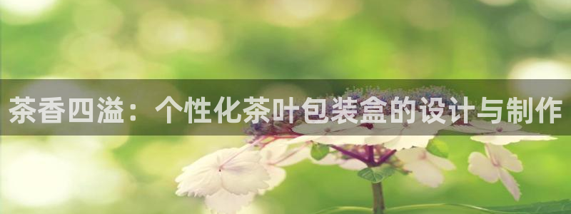 彩名堂免费计划使用方法是什么