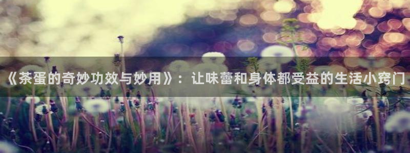 彩名堂合作655560