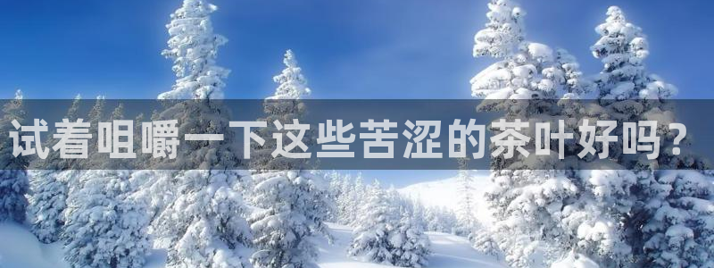 彩名堂是正规的公司吗
