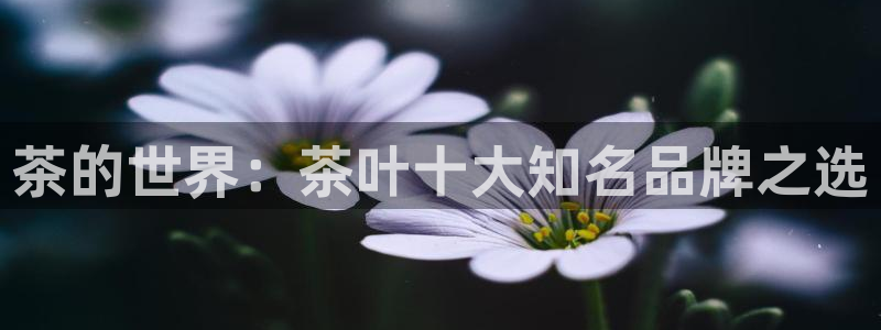 正规彩名堂官网计划01