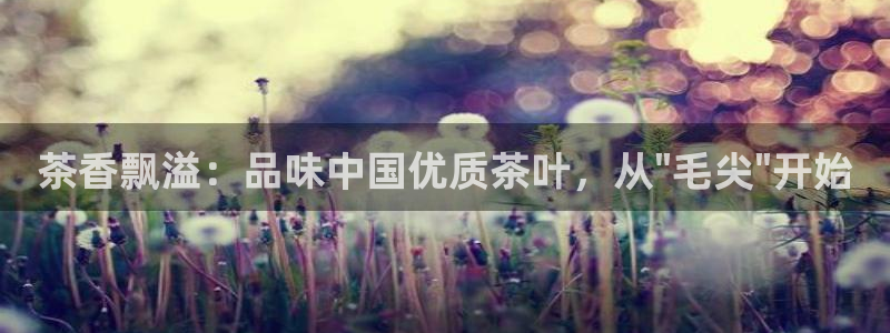 彩名堂.netnet