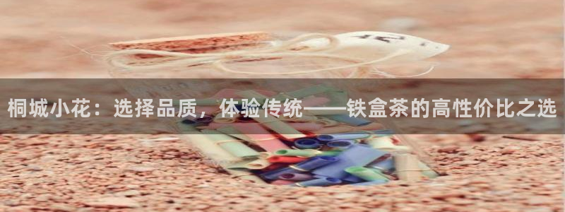 彩名堂人工计划怎么找不到下载了?