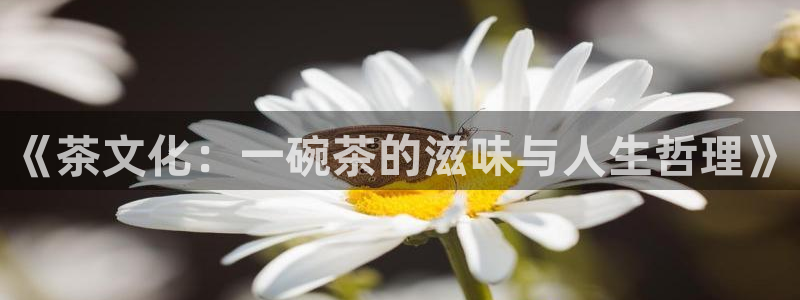 彩名堂网页