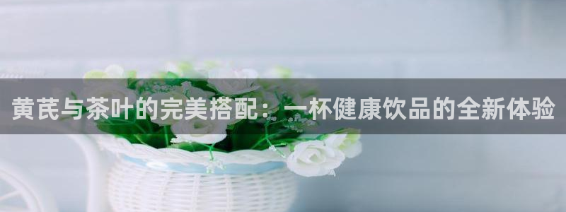 正规彩名堂官网计划