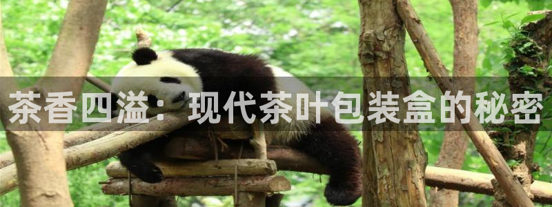 彩名堂免费计划客户端官网