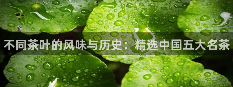彩名堂客户端是永久免费吗是真的吗