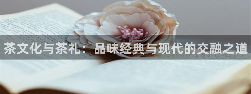 彩名堂5.0版计划怎么用不了