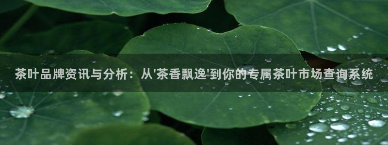 彩名堂5.0