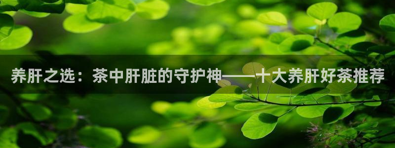 彩名堂官网计划怎么下载