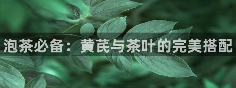 彩名堂旧版本