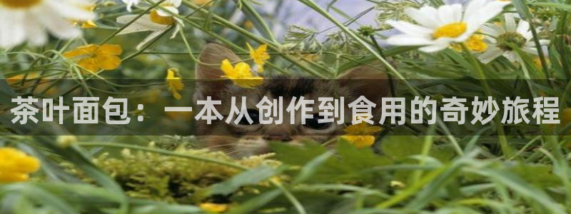 彩名堂v1.0.6