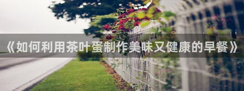 彩名堂加拿大怎么买准确率高