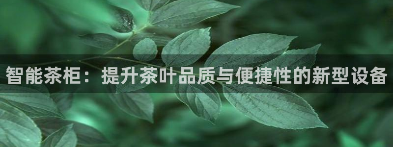 彩名堂安卓客户端官网下载安装
