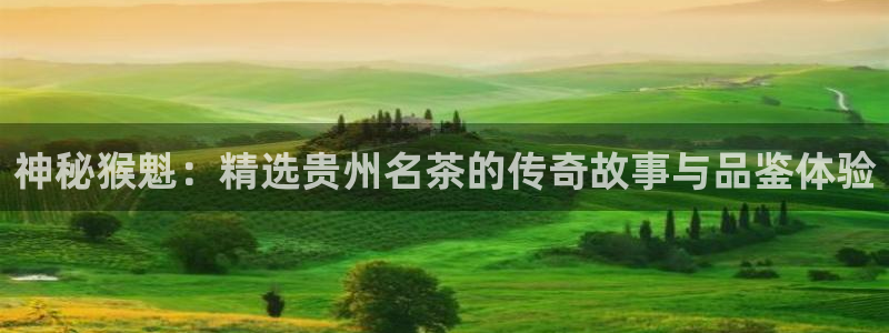 彩名堂好用还是千里马好用一点