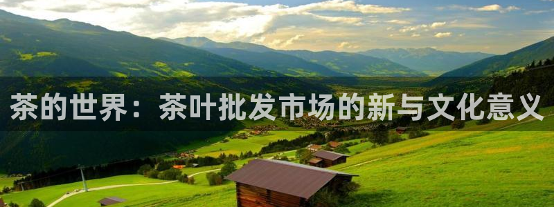 彩名堂怎么不能用了