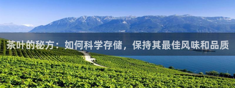 彩名堂怎么不能用了