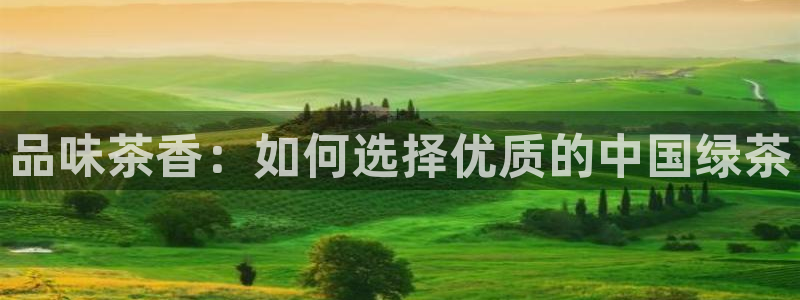 彩名堂改名稻草人了吗