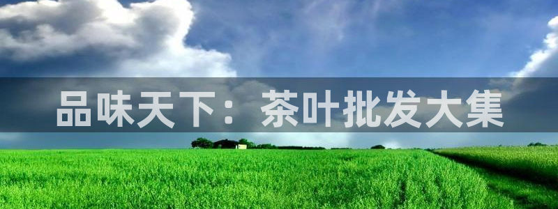 彩名堂预测软件与分析软件区别