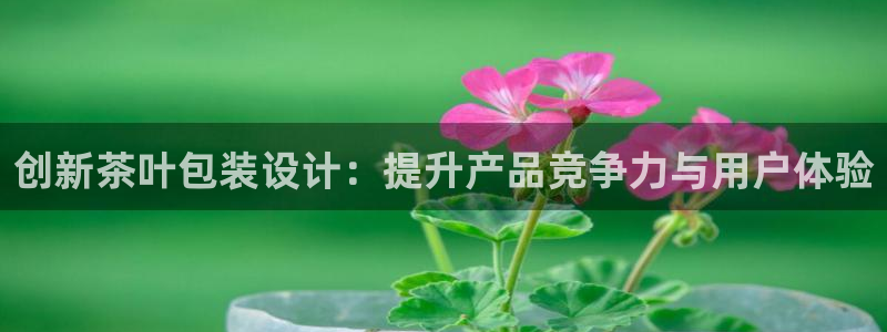 彩名堂计划怎么看