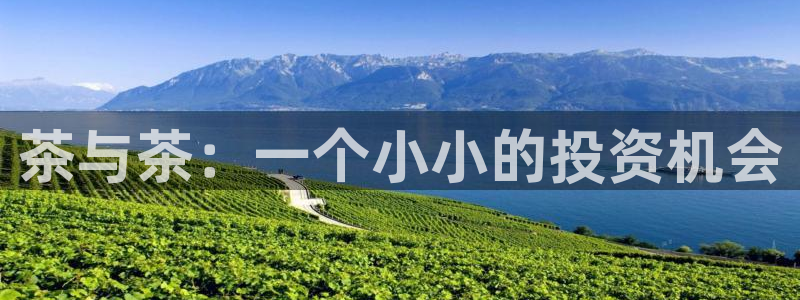 彩名堂.apk