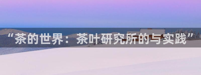 彩名堂免费计划亮点