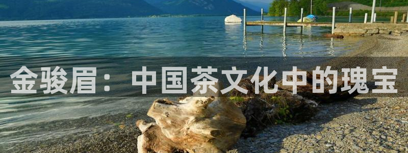 彩名堂计划app安卓免费下载
