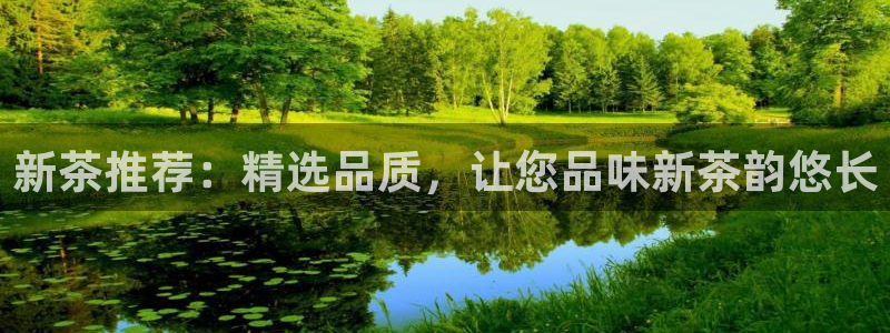 彩名堂计划技巧