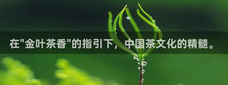 彩名堂加拿大怎么买准确率高
