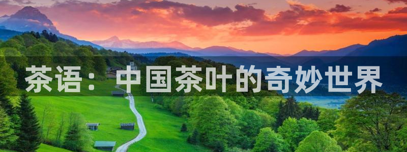 彩名堂01计划