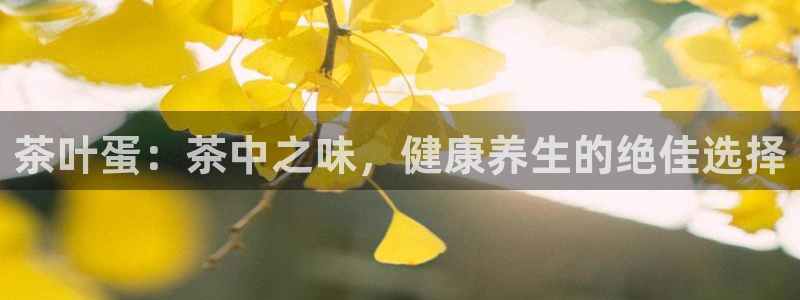 彩名堂官网在线计划怎么不更新了