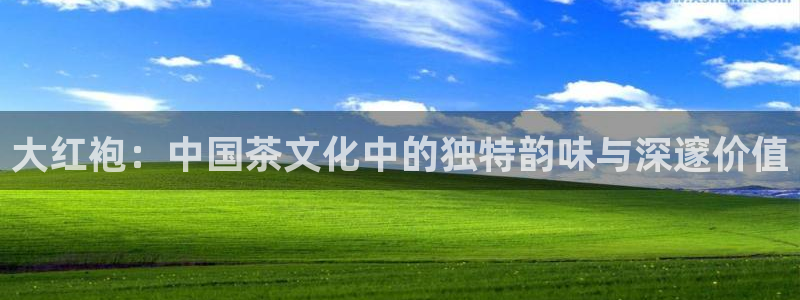 彩名堂免费计划官网50