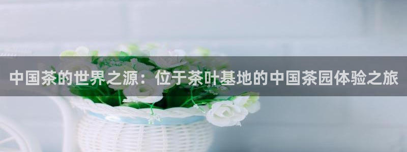 彩名堂移动客户端官网