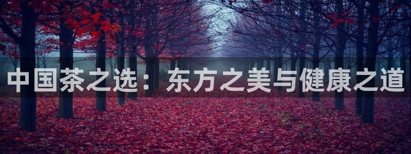 彩名堂手机客户端怎么下载