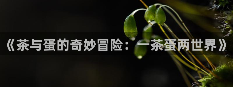 彩名堂5.0版计划怎么用不了
