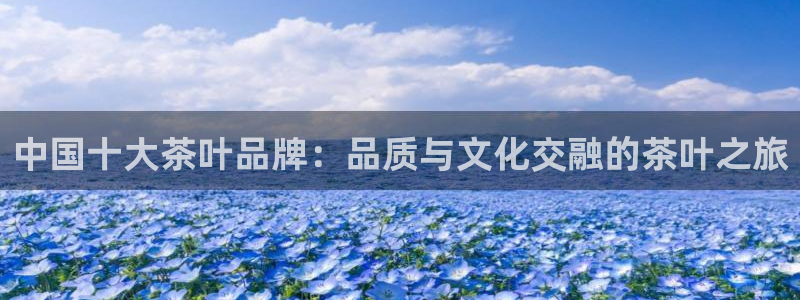 彩名堂怎么不能用了