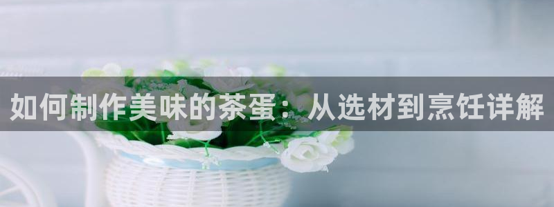 彩名堂最新计划app下载