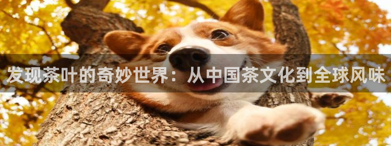 彩名堂免费计划官网购彩计划