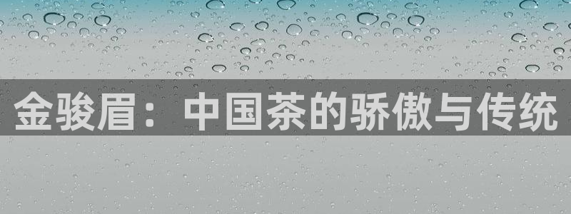 彩名堂官网网页计划